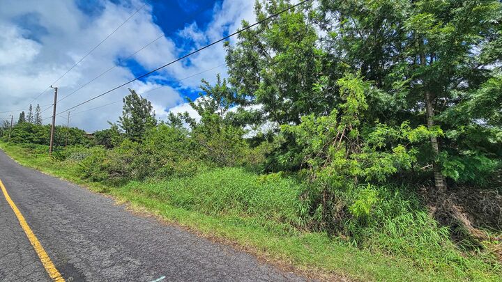 Property Photo: Bamboo Ln HI 96737