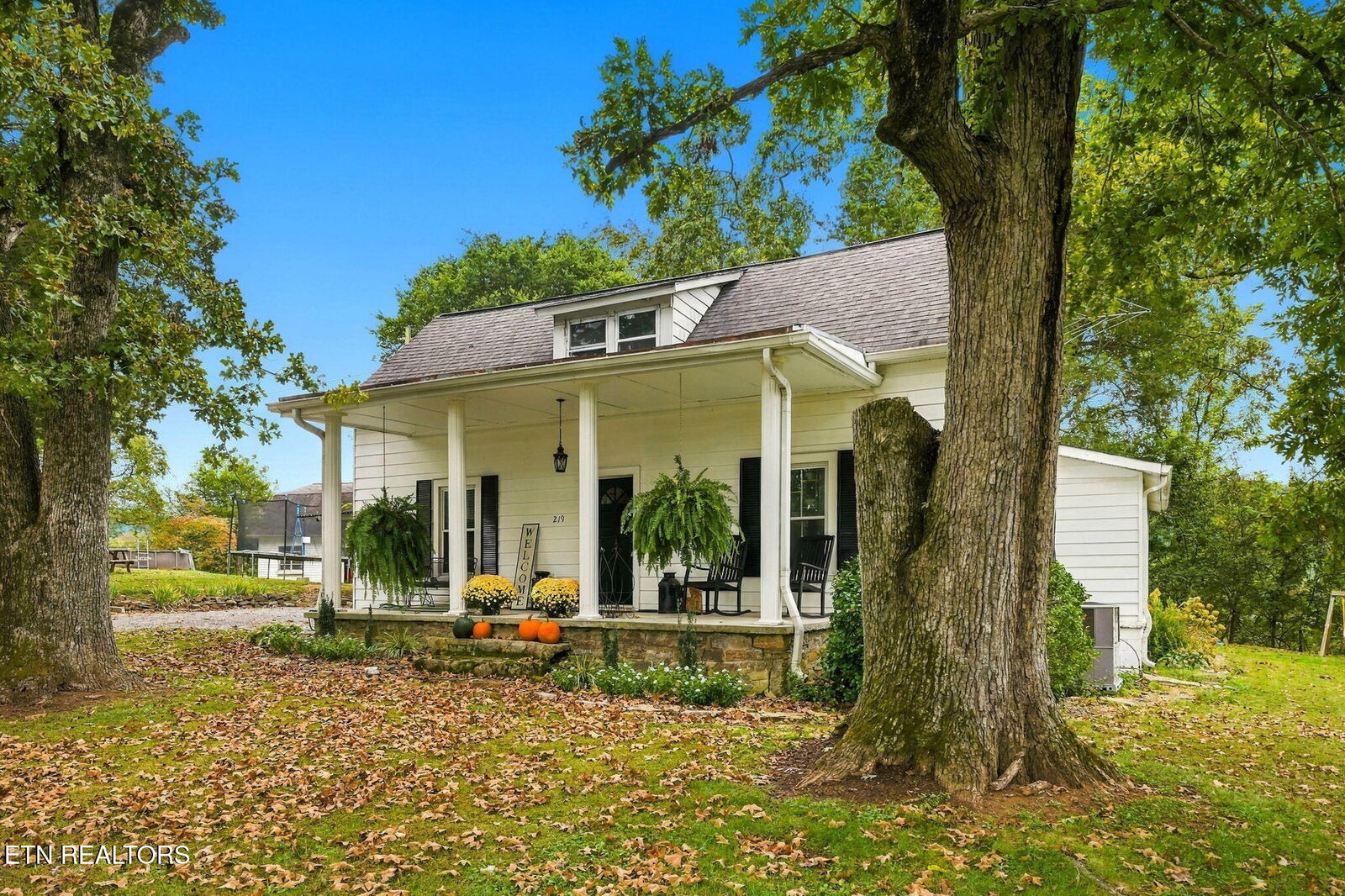 Property Photo: 219 Rhodes Rd TN 37820
