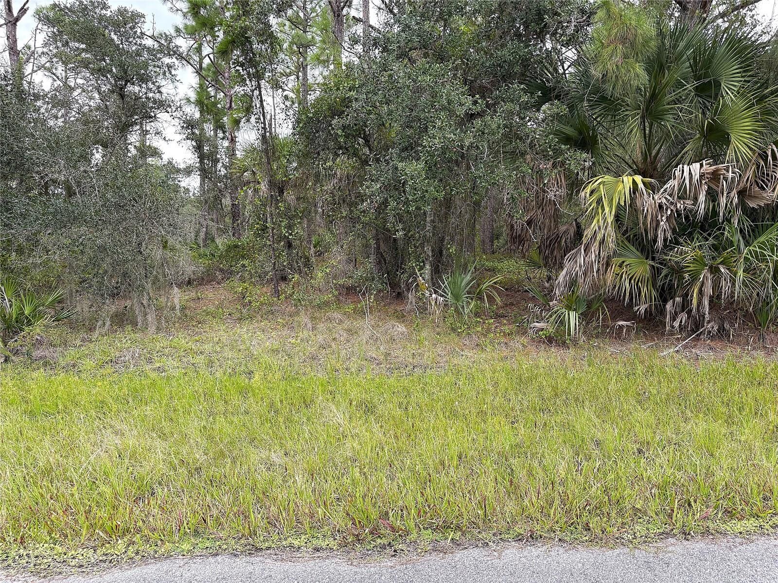 Property Photo: 14060 Dunlap Avenue FL 33953