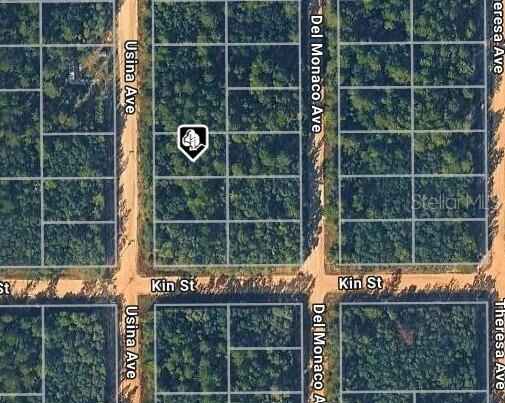 Property Photo:  Usina Ave  FL 32148 