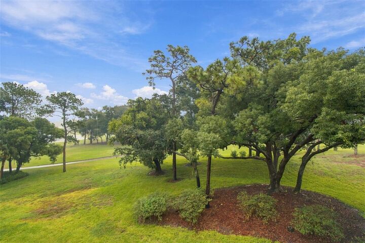 Property Photo:  36750 US Highway 19 23308  FL 34684 