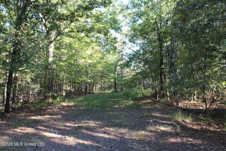 Property Photo: 1000 Colston Road MS 38635