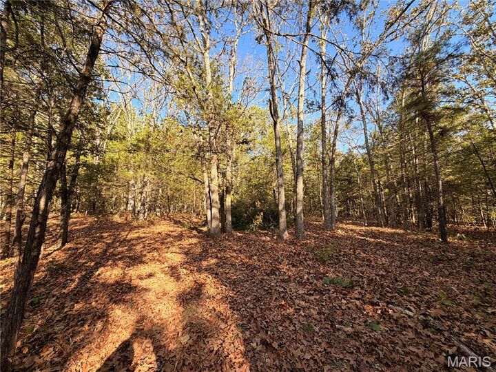 Property Photo:  Lot A Highway 32  MO 63640 