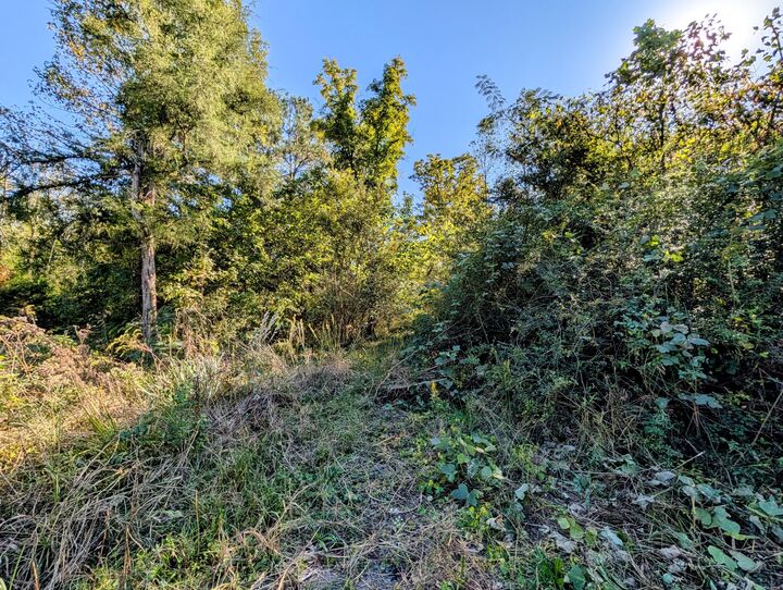 Property Photo: 378 Ladd Springs Rd SE TN 37323