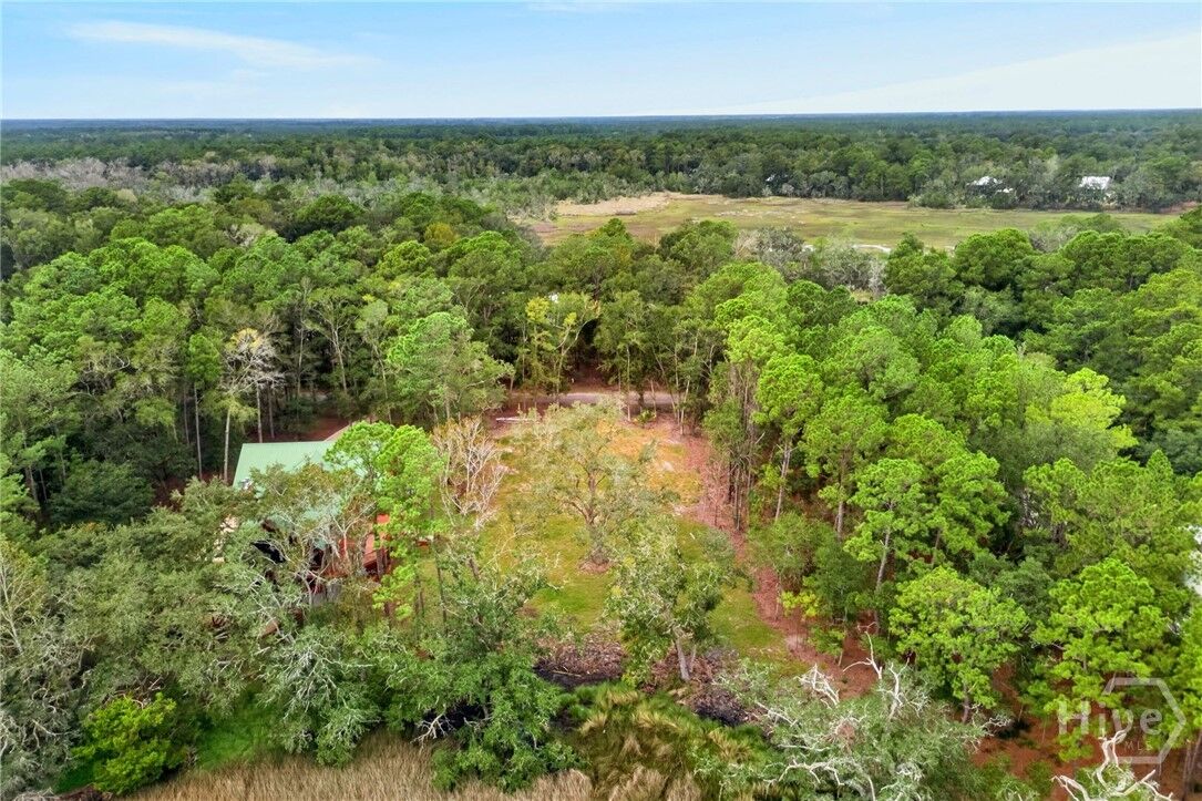 Property Photo:  3010 NE Dallas Bluff Road  GA 31331 