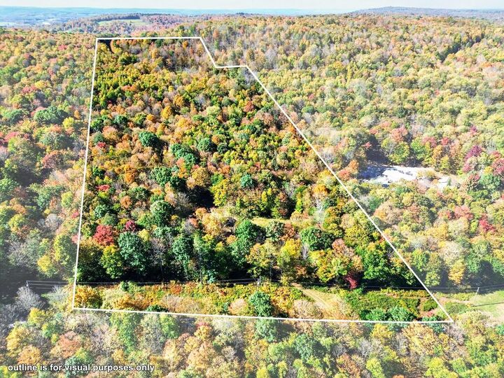 Property Photo:  778 Junks Pond Rd  PA 18833 