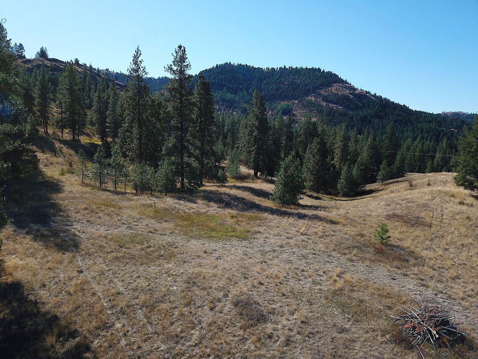 Property Photo: 68 Jostin Ln WA 99150