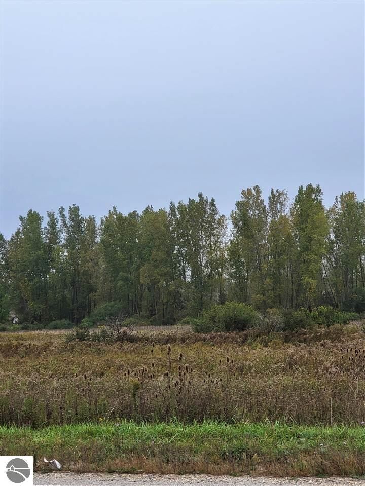 Property Photo:  00 W Broomfield Road  MI 48858 