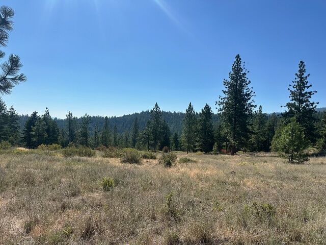 Property Photo:  Parcel 2A Dry Gulch Road  MT 59804 