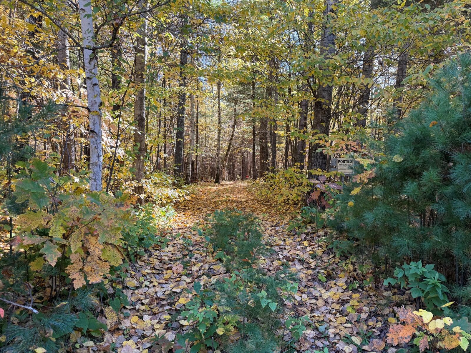 Property Photo:  Xxxx County Road 19  MN 56465 