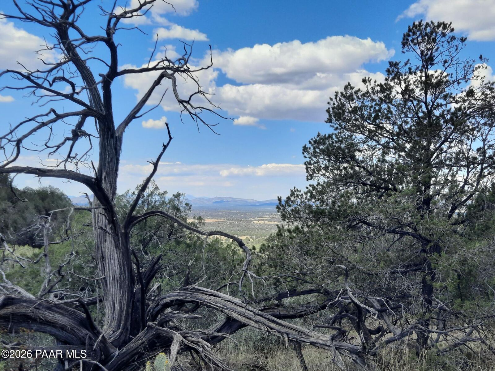 Property Photo:  Lot 814 W Peaceful View Trail  AZ 86337 