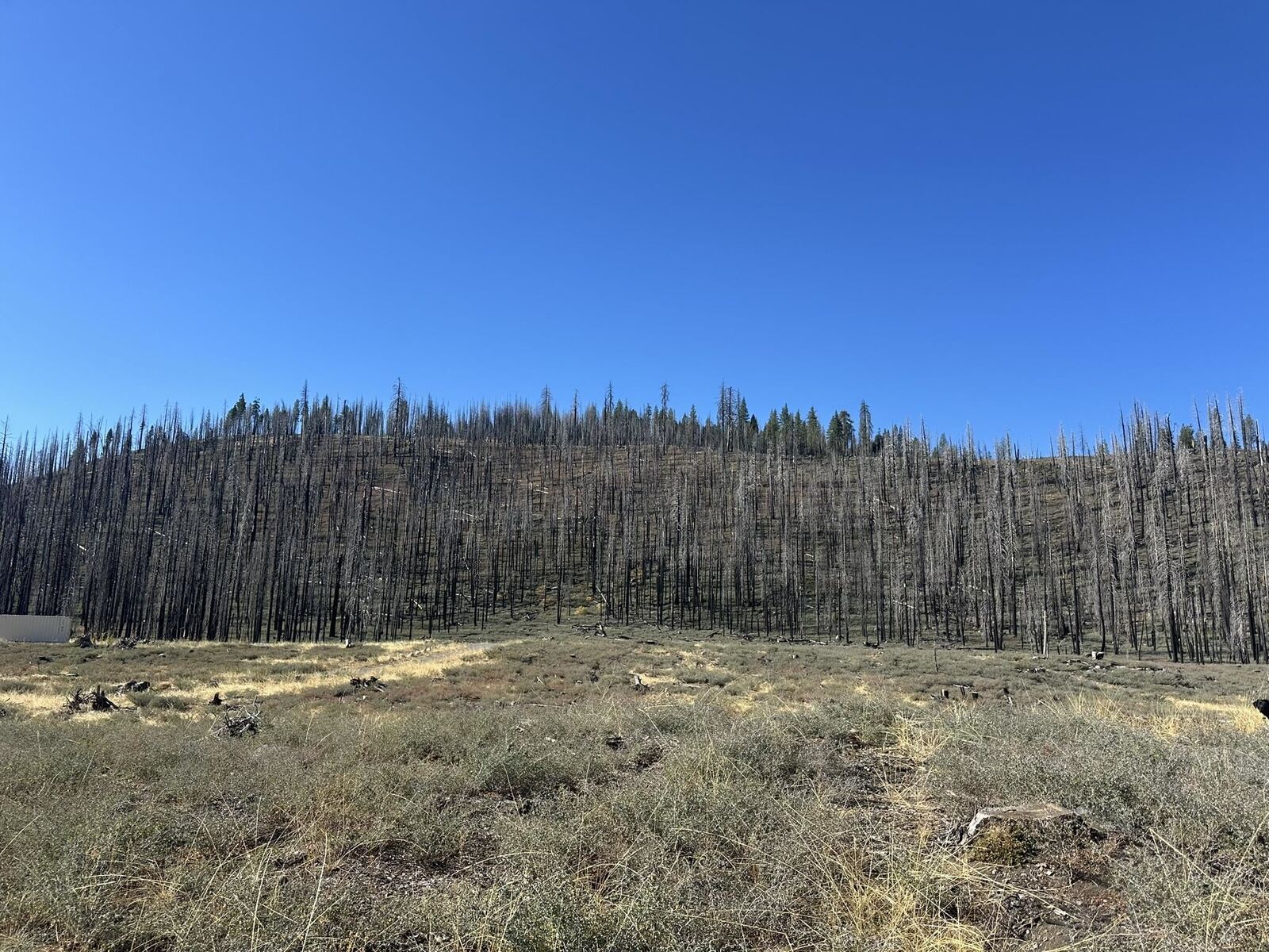 Property Photo:  7239 Rim Drive  CA 96020-0000 