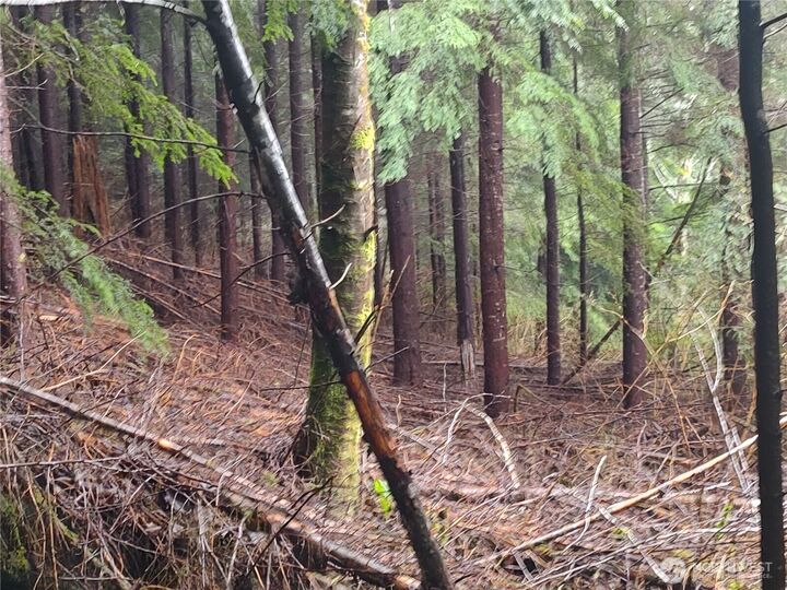 Property Photo:  0 Xxx  Ozette Lake Road  WA 98326 