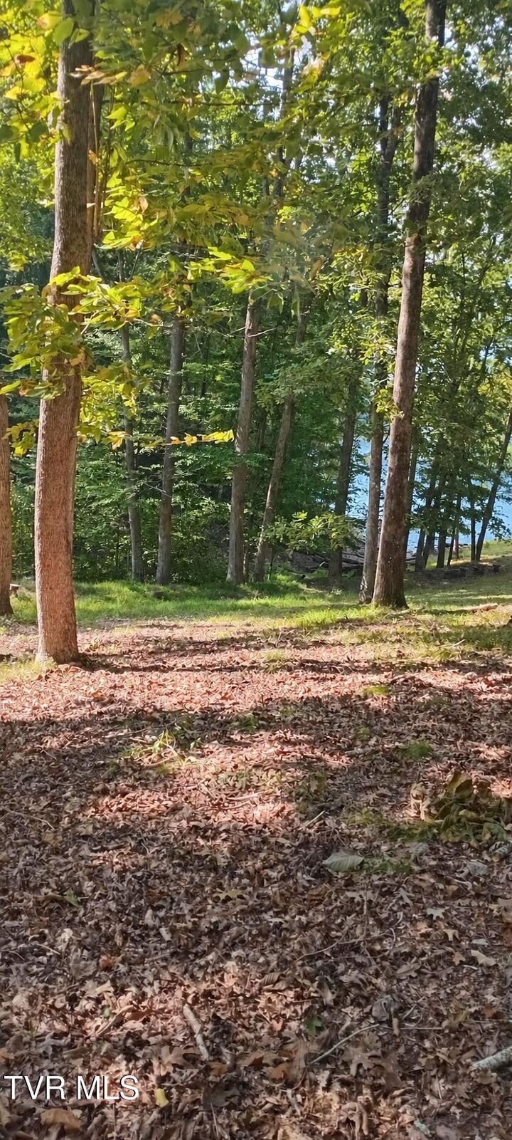 Property Photo: 209 Toqua Lane TN 37811