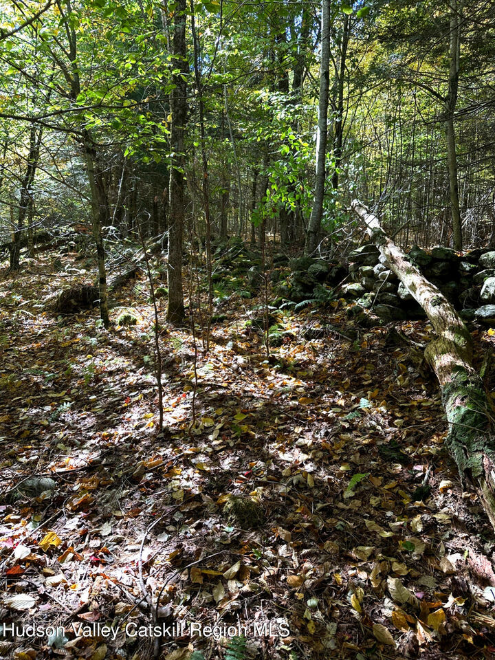 Property Photo:  0 Moore Hill Lot 1  NY 12169 