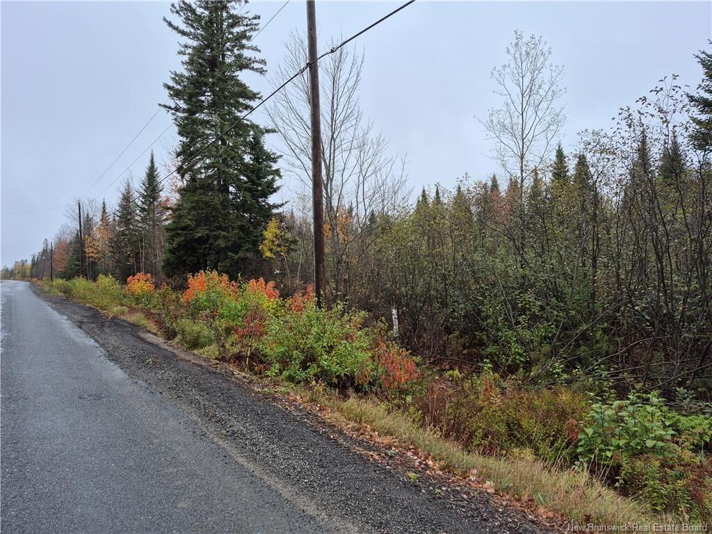 Property Photo:  - Kingsley Road  NB E3A 6G2 