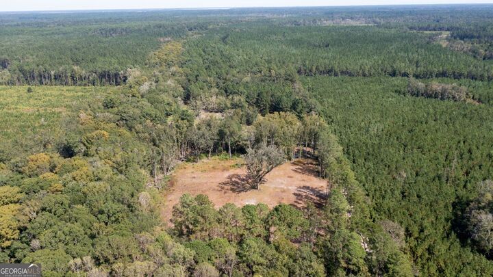 Property Photo: 2374 Colesburg Tompkins Road GA 31569