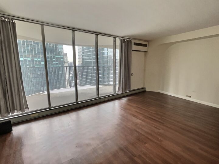 Property Photo:  300 N State Street 4325  IL 60654 
