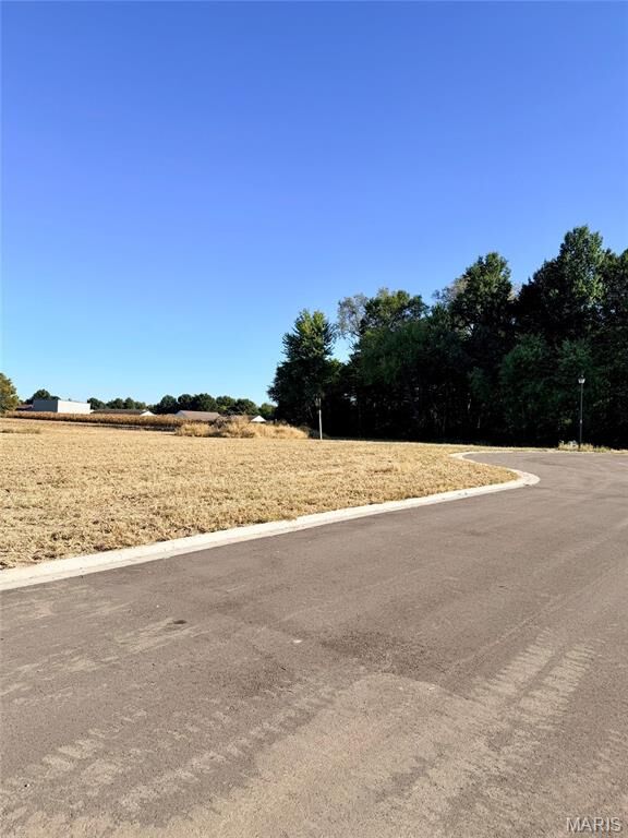 Property Photo:  1100 &Amp 1102 Lavender Lane  IL 62056 