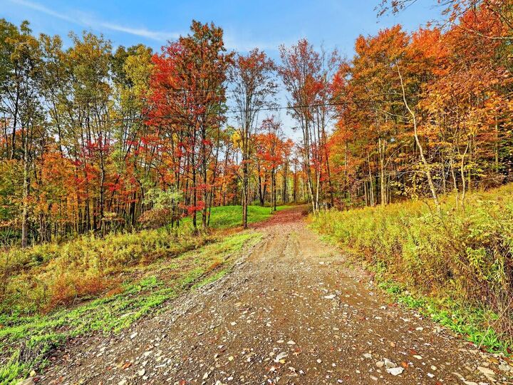Property Photo:  12.1 Ac Mercur Hill Rd  PA 18848 
