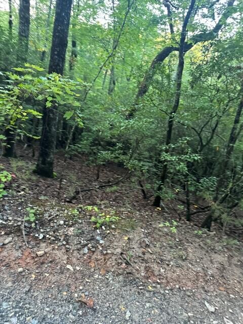 Property Photo:  Lots 3&4 Amicalola Woods Road  GA 30534 