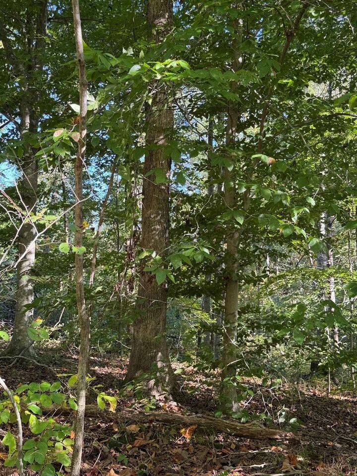 Property Photo:  00 Cornwell Road  KY 42164 