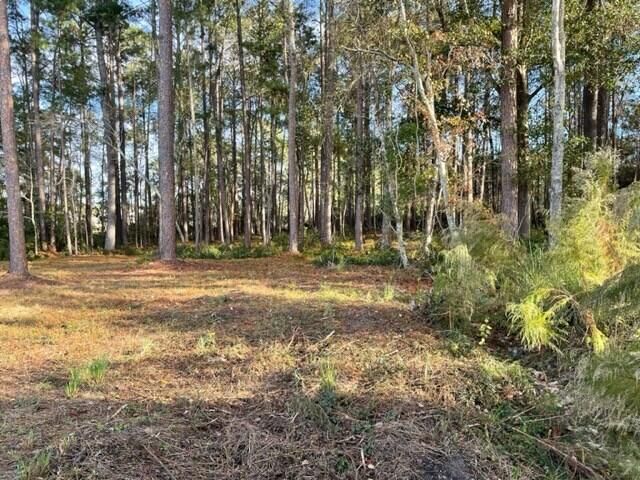 Property Photo:  0 Old Ocilla Road  GA 31794 