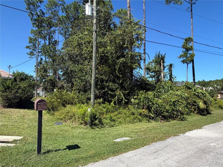 Property Photo:  49 Ebb Tide Drive  FL 32164 