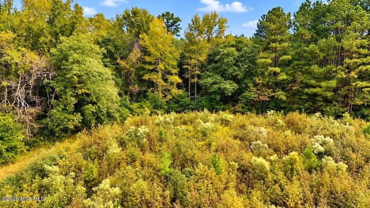 Property Photo: 0 Usher Road NC 28384