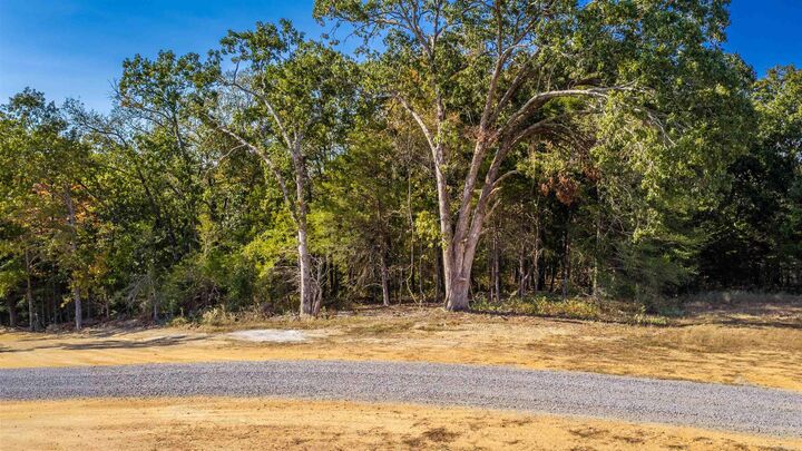 Property Photo:  Lot 14 Summer Field  AR 72131 