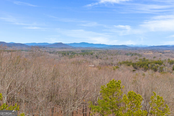 Property Photo:  0 Douglas Fir Drive  GA 30528 