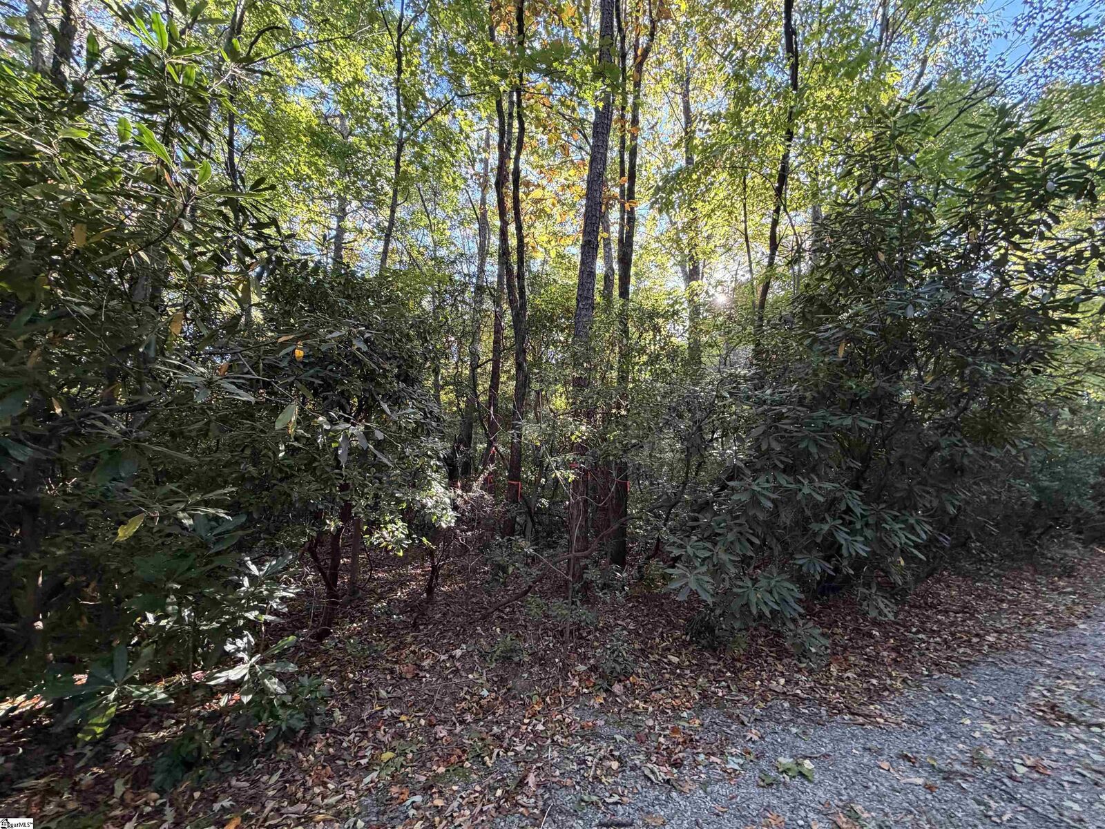 Property Photo: Lot 88 Upper Oil Camp Road SC 29635