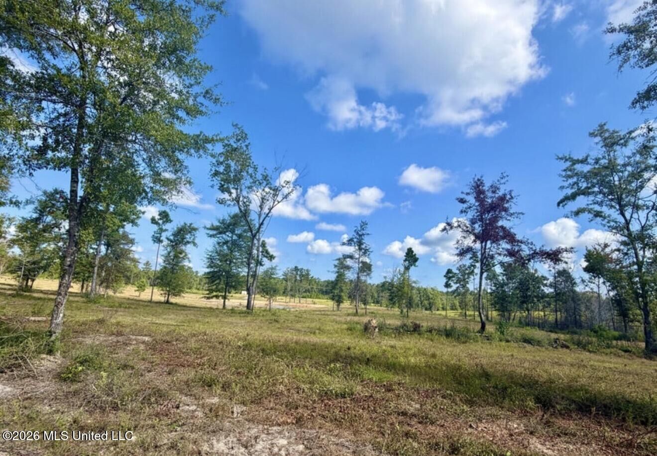 Property Photo: 10.66 +/- Ac Industrial Park Road MS 39451