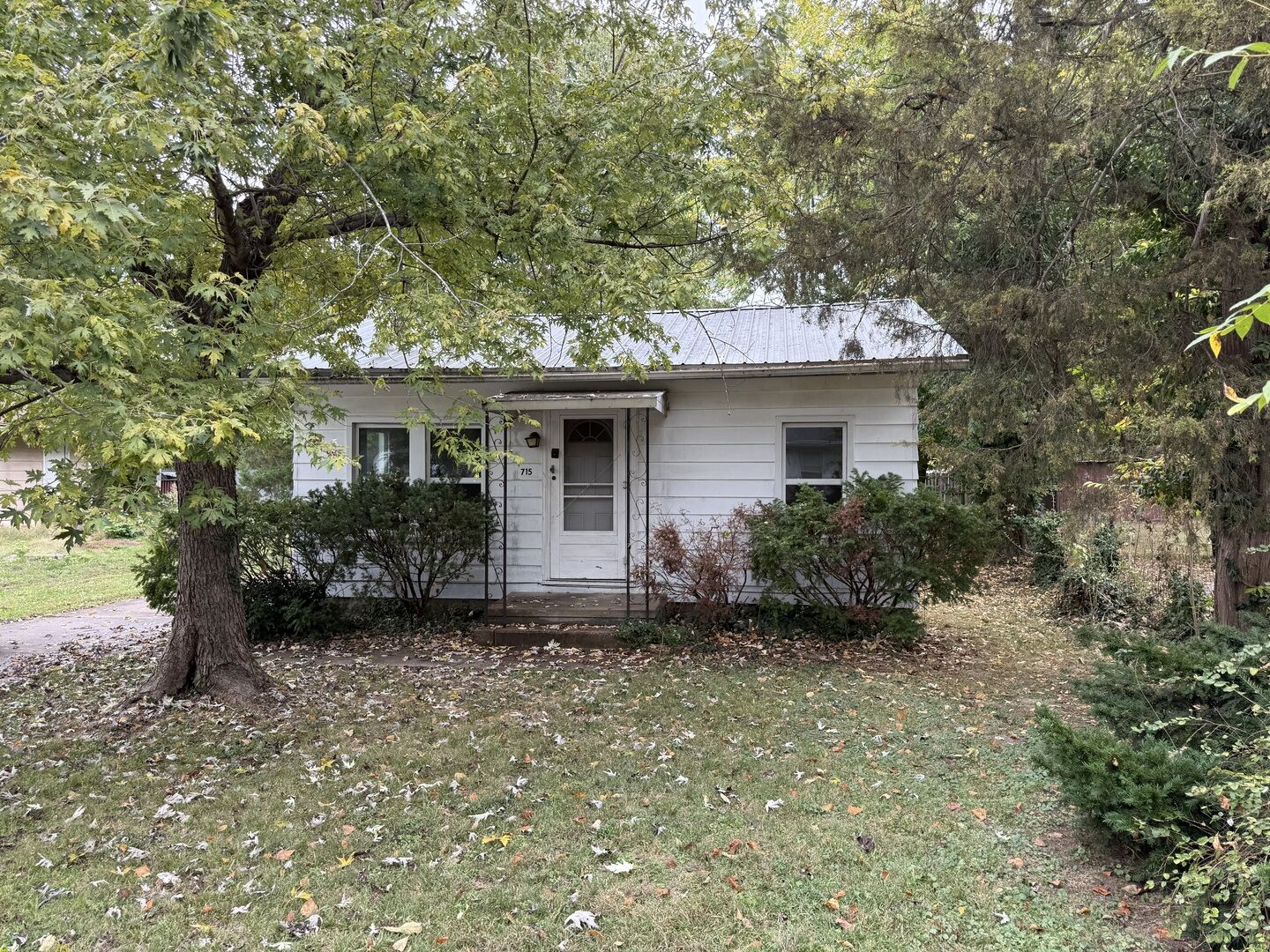 Property Photo:  715 N James Street  IL 62901 