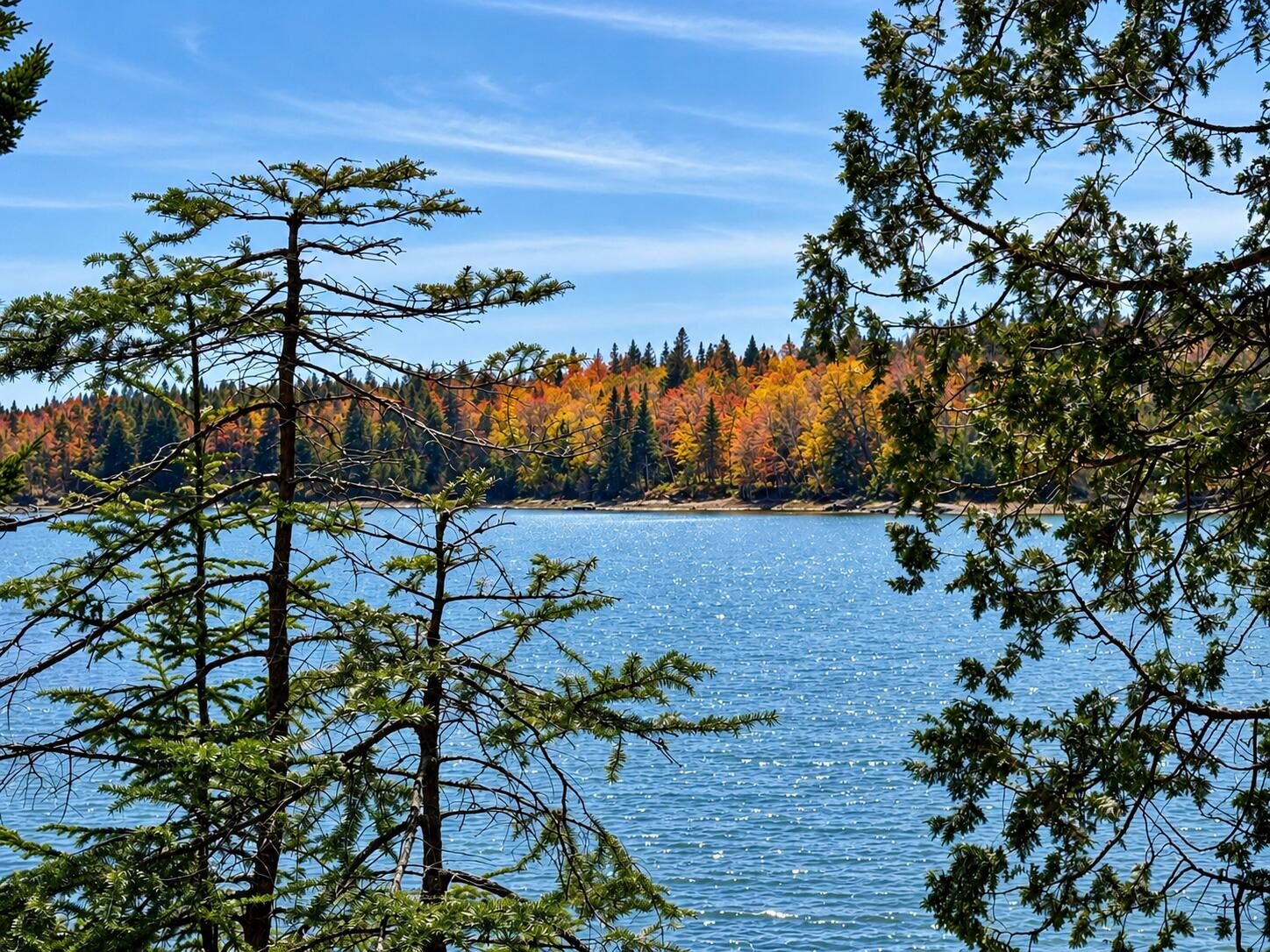 Property Photo: Lot 20-15 Collins Cove Road ME 04655