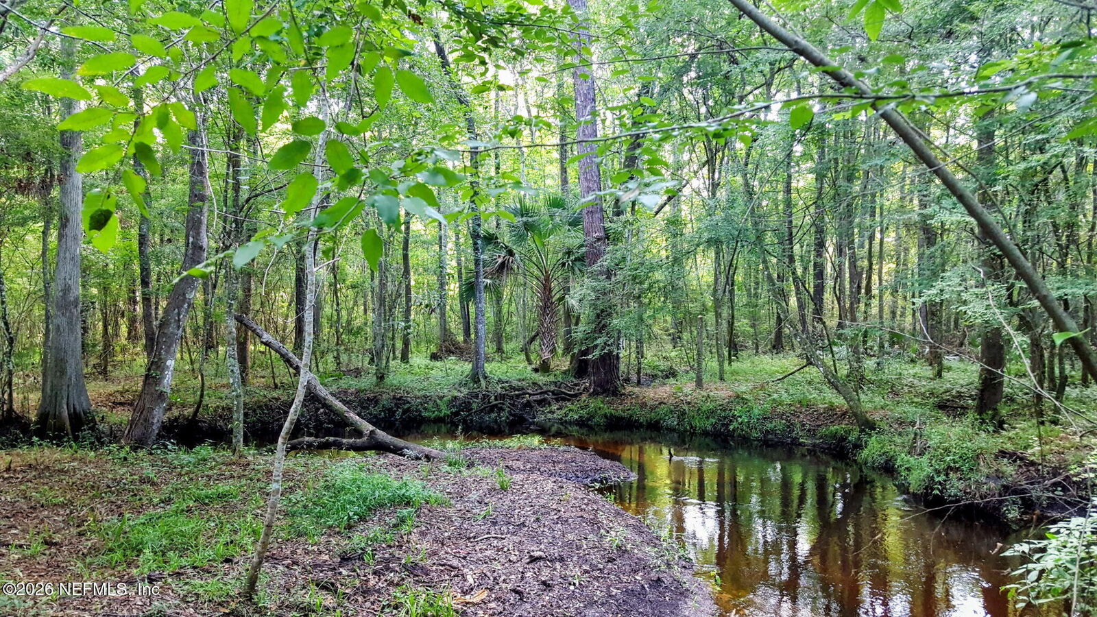 Property Photo:  0 Townsend & Durrance Road  FL 32244 
