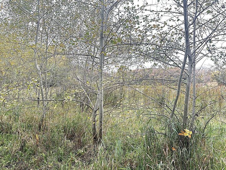 Property Photo:  415 W Adolphus Avenue  MN 56537 