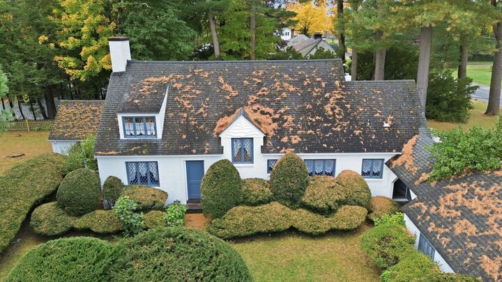 Property Photo:  96 Western Ave  MA 01085 