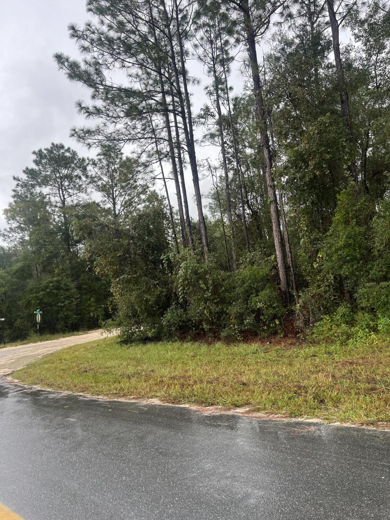 Property Photo:  Tbd NE 110th Lane  FL 32618 