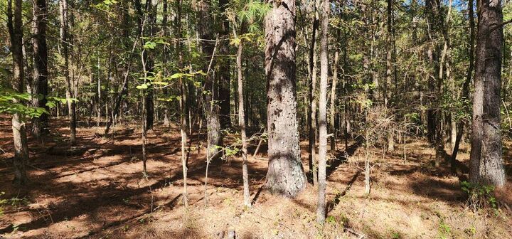 Property Photo:  0 Zig Zag Rd  TN 38221 