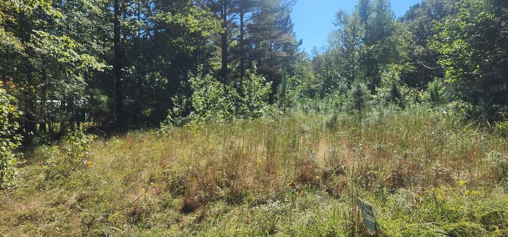 Property Photo:  0 Hillcrest Lane  TN 38221 