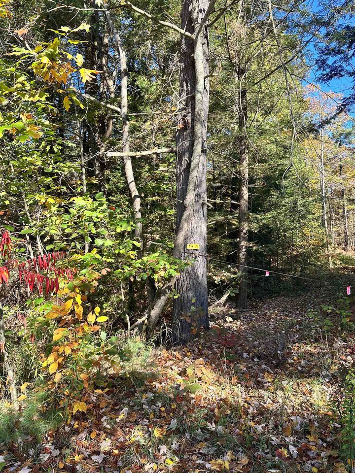 Property Photo:  1101 Doe Lake Road  ON P1P 1R3 