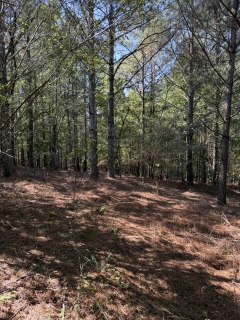 Property Photo:  0 Bryant Road  GA 30710 