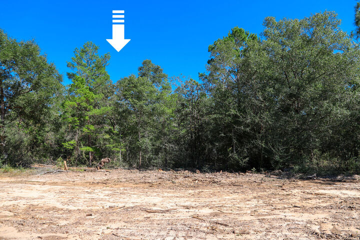 Property Photo:  Lot 9 Leonardo Court  FL 32433 