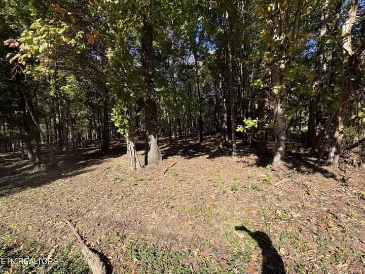 Property Photo:  0 Town Creek Rd  TN 37772 