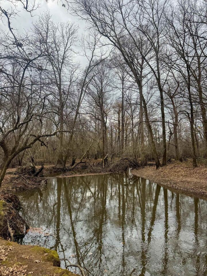 Property Photo:  0204 Easement Rd Off Cr 1619  TX 75563 