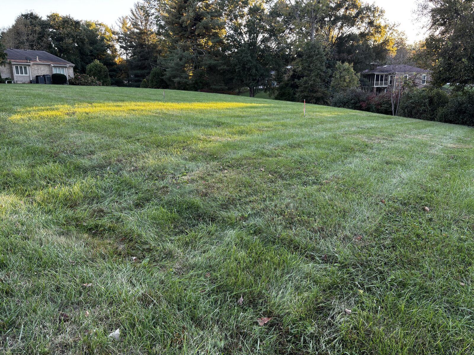 Property Photo:  13 Whitebridge Lane  KY 40601 