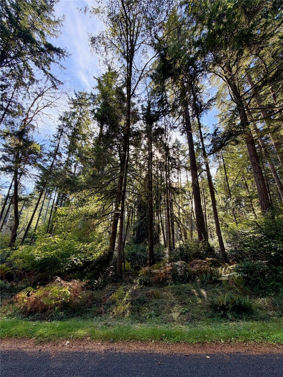 Property Photo:  11616  Country Club Dr.  WA 98303 