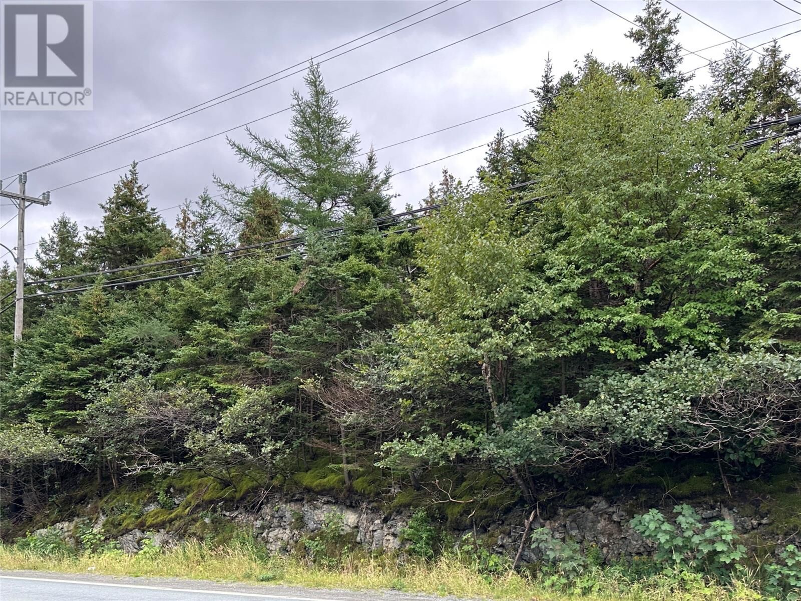 Property Photo:  5 Corporal Jamie Murphy Drive  NL A0A 1Z0 