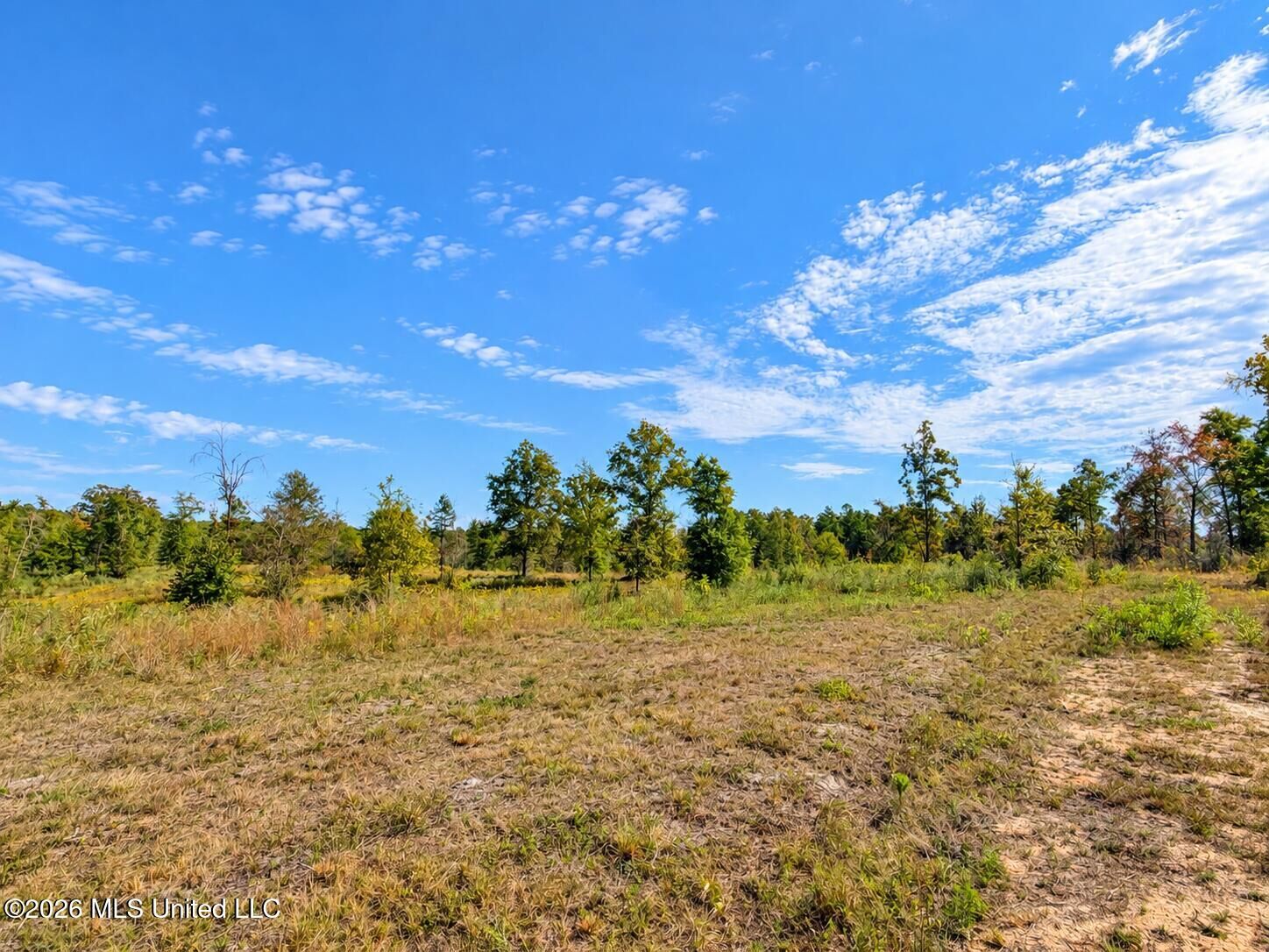 Property Photo:  23.21 +/- Ac Industrial Park Road  MS 39451 